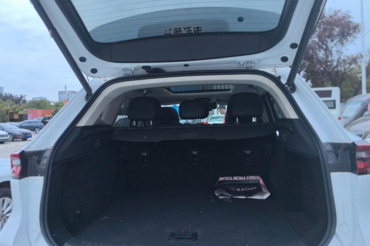 Used EXEED Lingyun 2024 300T Two-Wheel Drive Starlight Edition