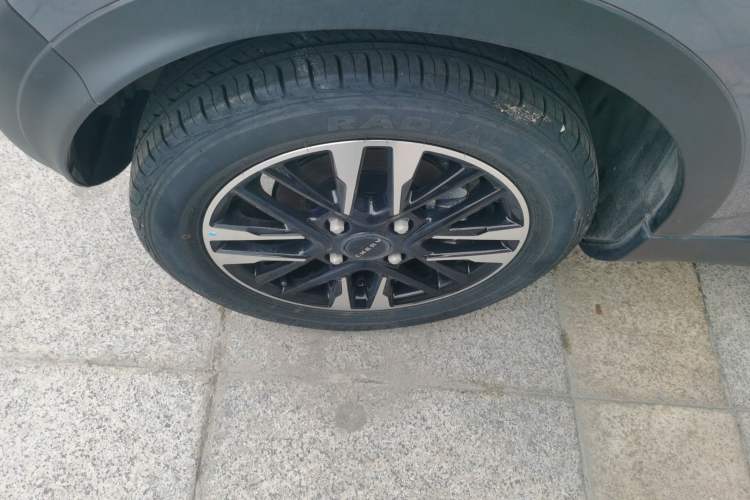 Used Chery Little Ant 2024 251km True Love Edition