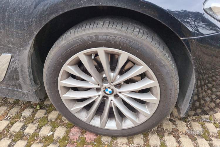 Used BMW 5 Series 2022 525Li Luxury Package