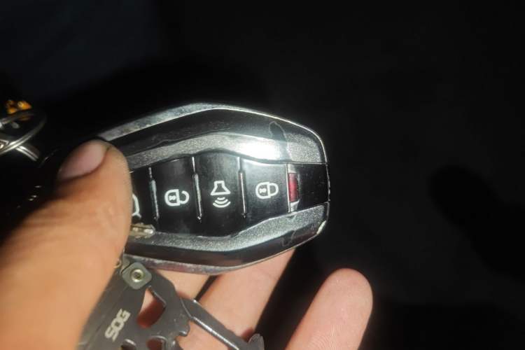 Used Chery New Energy eQ5 2020 High-Energy Pro Edition Vehicle Key