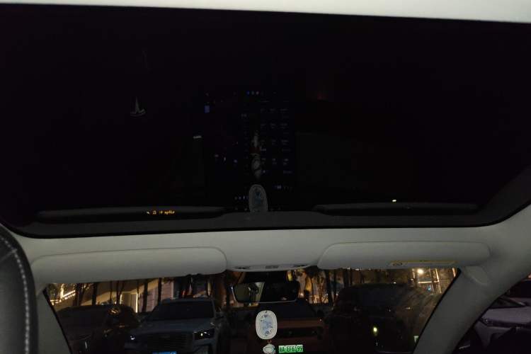 Used Tesla Model 3 2020 Refreshed Version Long-Range Rear-Wheel Drive Headliner