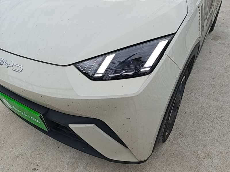 Used BYD Seagull 2023 Free Edition — 23