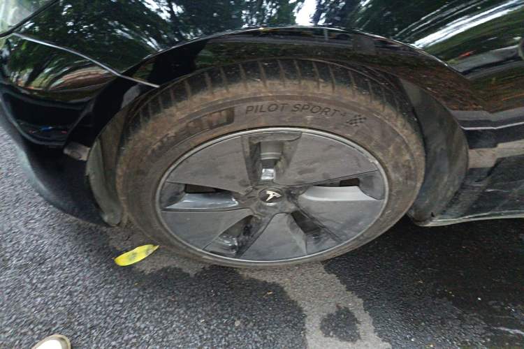 Used Tesla Model 3 2022 Rear-Wheel-Drive Version