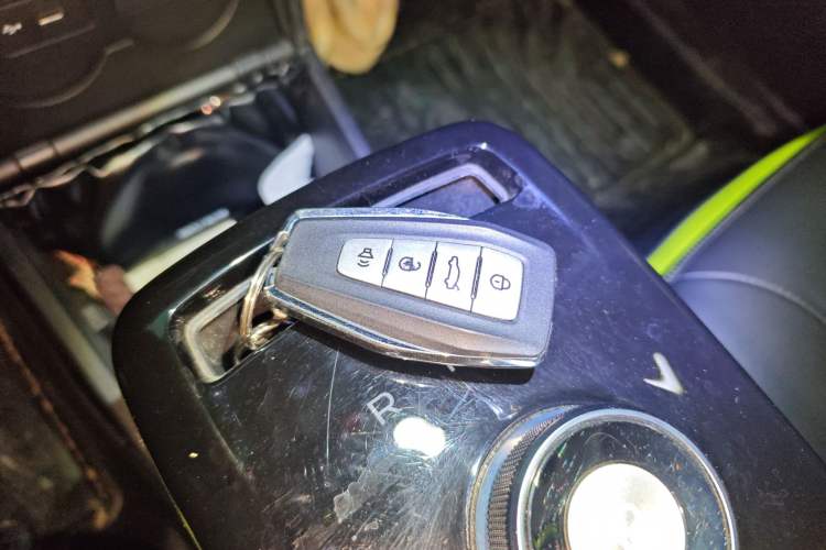 Used Geometry E Firefly 2023 401KM Lightning Tiger 5-Seater