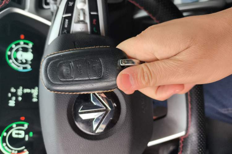 Used Livan Maple 30X 2020 Style Edition
