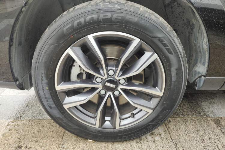 Used Wey VV5 2021 1.5T Two-Wheel Drive Color Pioneer
