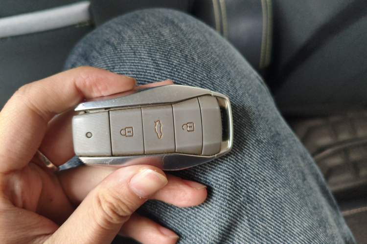 Used SOL E10X 2021 302 km Range Fashion Edition 31.4 kWh Vehicle Key