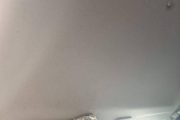 Used FORTHING Lingzhi 2023 M5L 1.6L Base Model 5 Seats Headliner