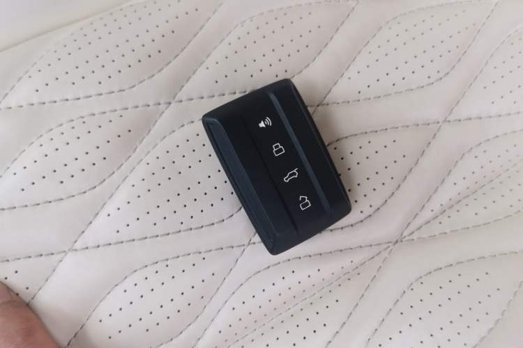 Used Tank 500 New Energy 2024 Hi4-T
