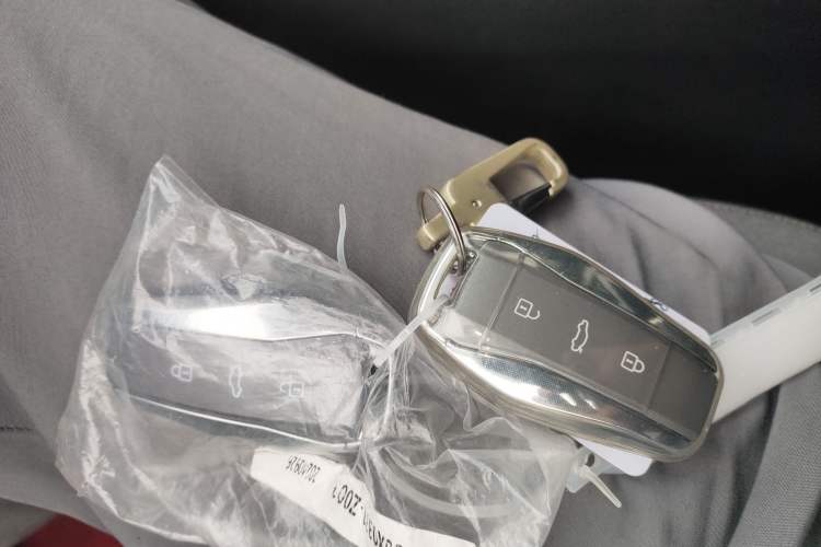 Used JAC Yiwei E10X 2024 Charming Edition 301km Lite
