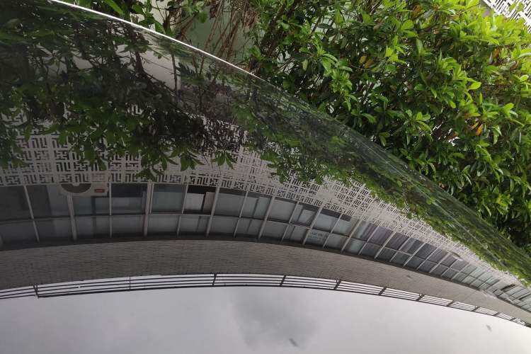 Used Tesla Model 3 2019 Long-Range All-Wheel-Drive Version Roof