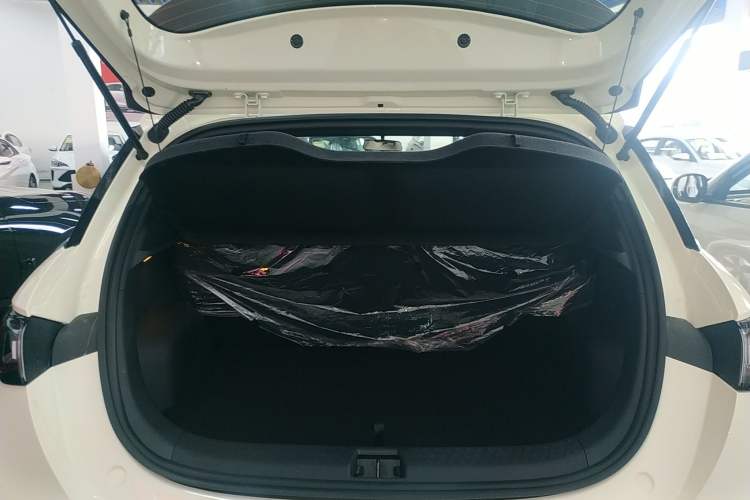 Used BYD Dolphin 2025 420km Free Edition
