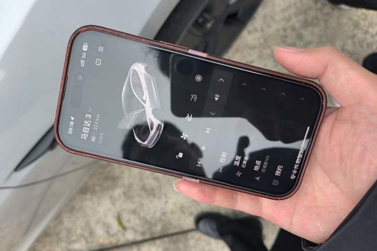 Used Tesla Model 3 2022 Rear-Wheel-Drive Version