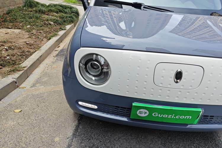 Used ORA Black Cat 2021 351 km Luxury Version
