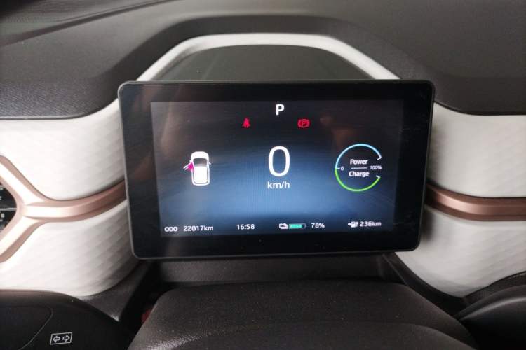 Used SOL E10X 2022 Flower Fairy Design Four-Leaf Clover
