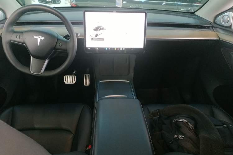 Used Tesla Model Y 2021 Standard Range Rear-Wheel Drive Version