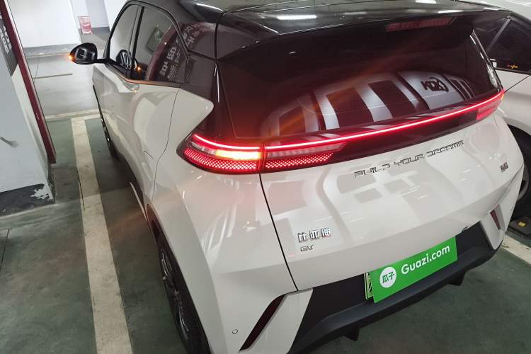 Used BYD Seagull 2023 Free Edition Rear