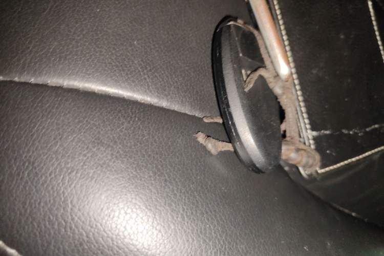 Used Nissan X-Trail 2012 2.5L CVT Luxury Edition 4WD