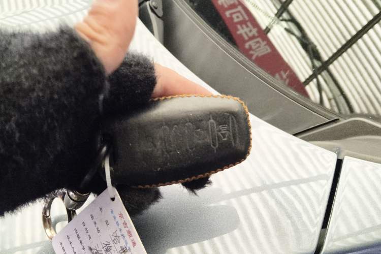 Used Haval DARGO 2021 1.5T DCT Two-Wheel Drive Labrador Edition