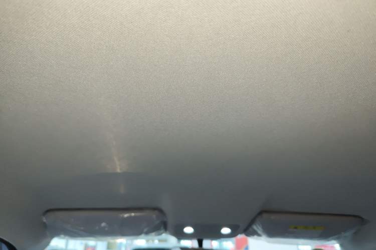 Used Leapmotor T03 2022 Agate Edition Headliner