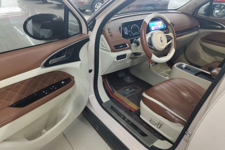 Used ORA Good Cat 2021 400km Standard Range Athena Edition Lithium-Ion Battery
