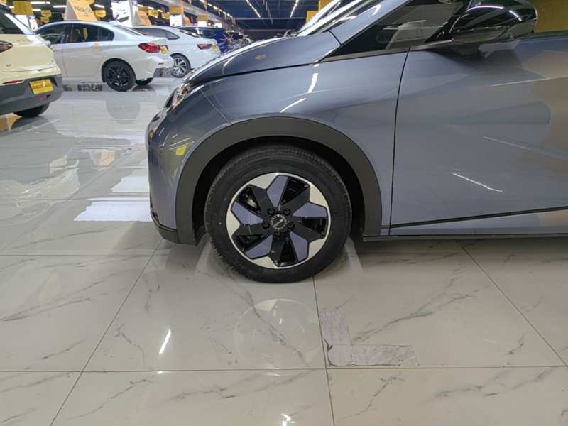 Used BYD Dolphin 2024 Honor Edition 420km Fashion Version — 22