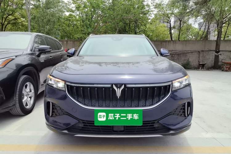 Used VOYAH FREE 2021 Four-Wheel Drive Standard All-Electric Exclusive Luxury Package
