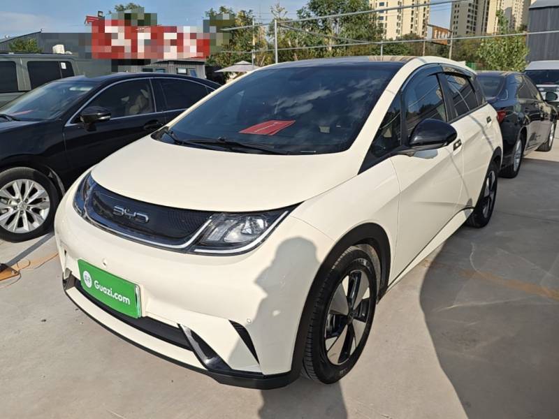 Used BYD Dolphin 2023 420 km Fashion Edition — 1