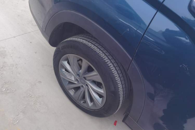 Used Livan Livan 9 2023 470 km Founder Edition