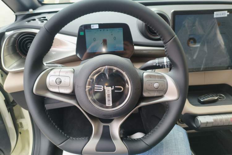 Used BYD Dolphin 2025 420km Free Edition
