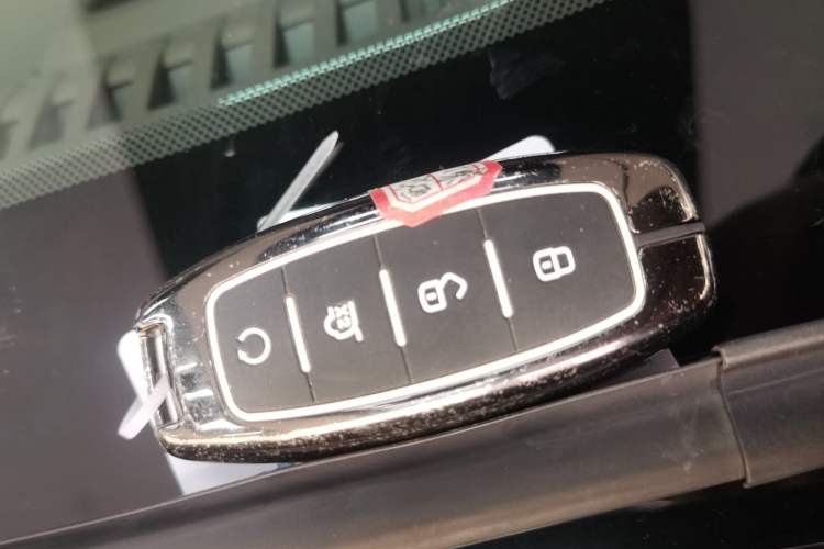 Used Denza D9 2022 DM-i 970 Four-Wheel Drive Prestige Model Vehicle Key