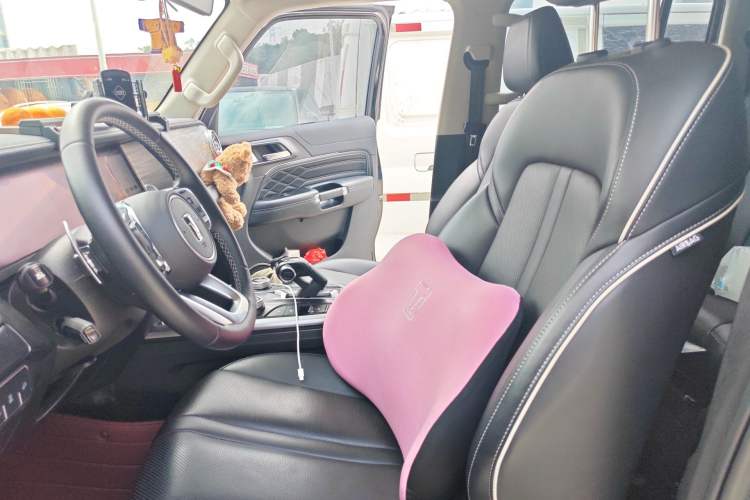 Used Tank 300 2021 City Edition 2.0T—Truly Stylish
