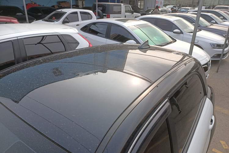 Used ORA Black Cat 2021 351 km Standard Version
