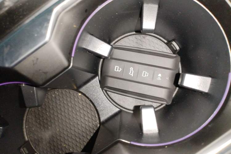 Used Tank 400 2025 2.0T Gasoline Version
