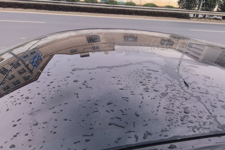 Used Tesla Model Y 2021 Standard Range Rear-Wheel Drive Version Roof