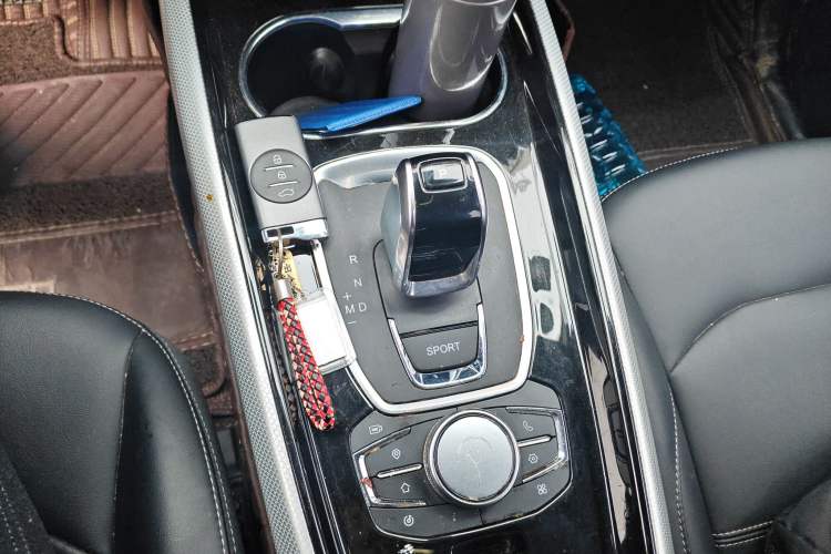 Used EXEED TX 2020 1.6T Two-Wheel Drive Star Edition