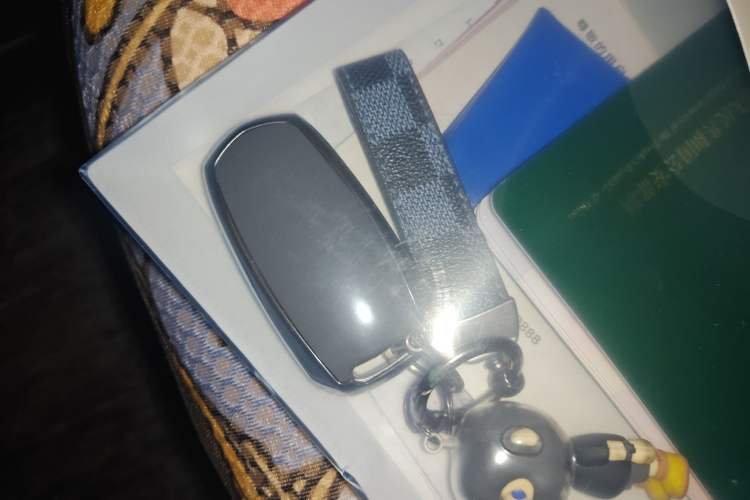 Used Geely Galaxy Panda 2025 210km Panda Rider