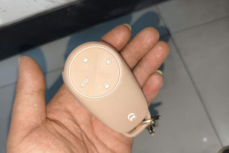 Used Nio ES8 2020 415 km Range 6-Seater Version