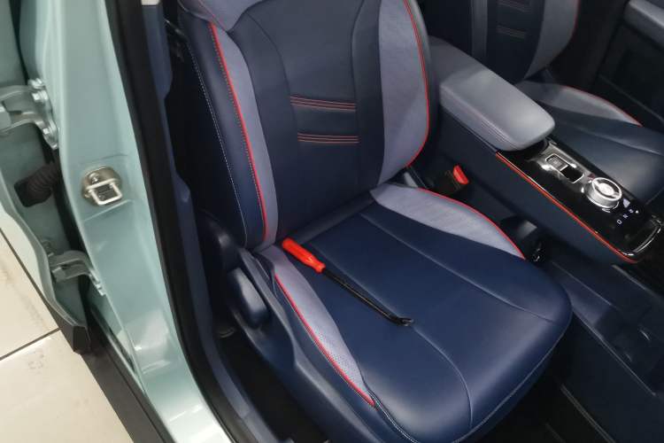 Used Geometry E Firefly 2022 401KM Lightning Tiger 4-Seater
