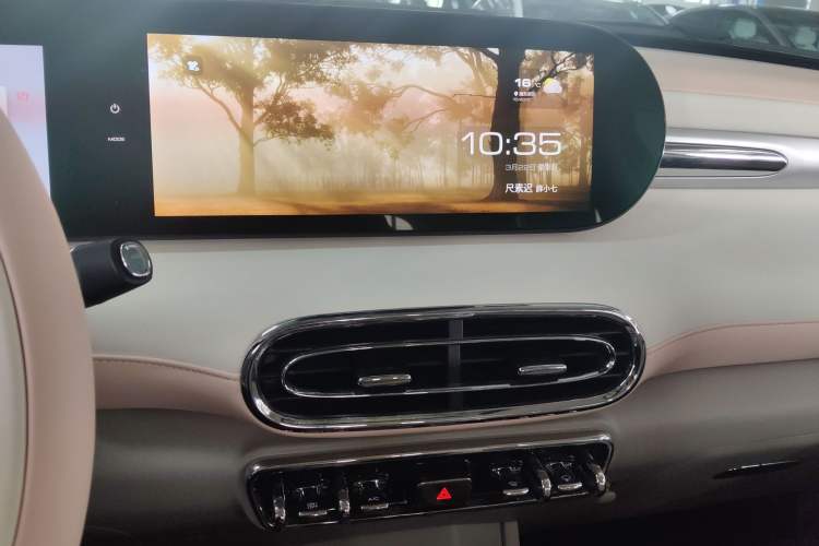 Used ORA Ballet Cat 2023 401 km Luxury Version