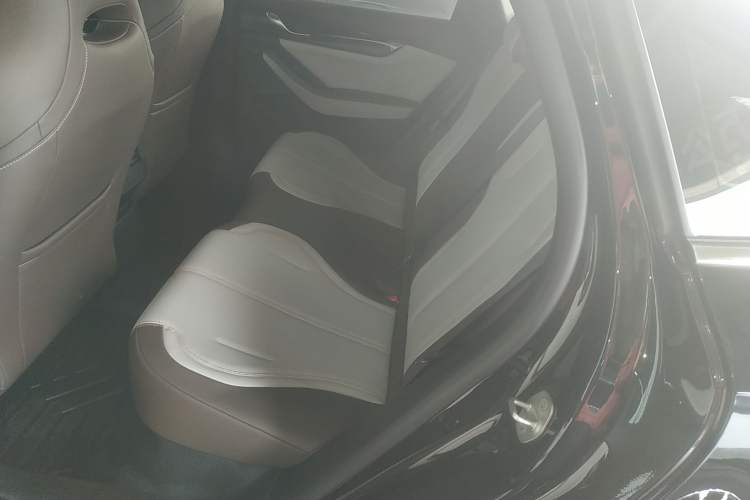 Used BYD Qin PLUS 2024 HONOR Edition DM-i 55KM Leading Model Left Rear Seat