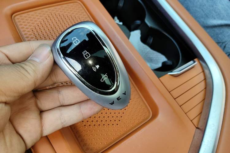 Used Wey Lanshan 2023 Four-Wheel Drive Ultra-Long Range Version