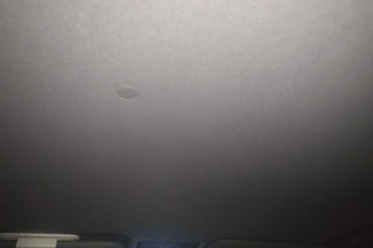 Used Toyota YARiS L Zhi Xuan 2022 X-Trail 1.5L CVT Leading PLUS Edition Headliner