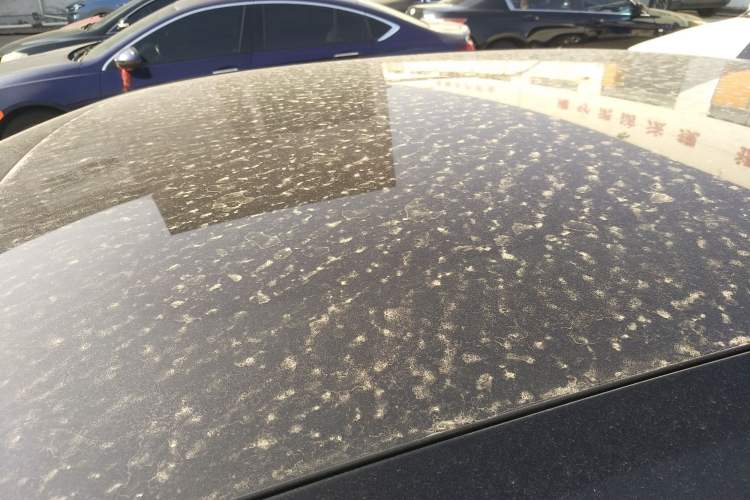 Used Polestar 2 2020 First Edition