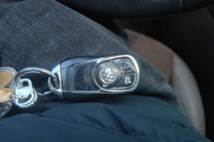 Used Buick Regal 2019 20T Elite Version China VI Standard
