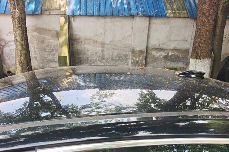 Used Hongqi E-QM5 2024 450km Range Commuter Version
