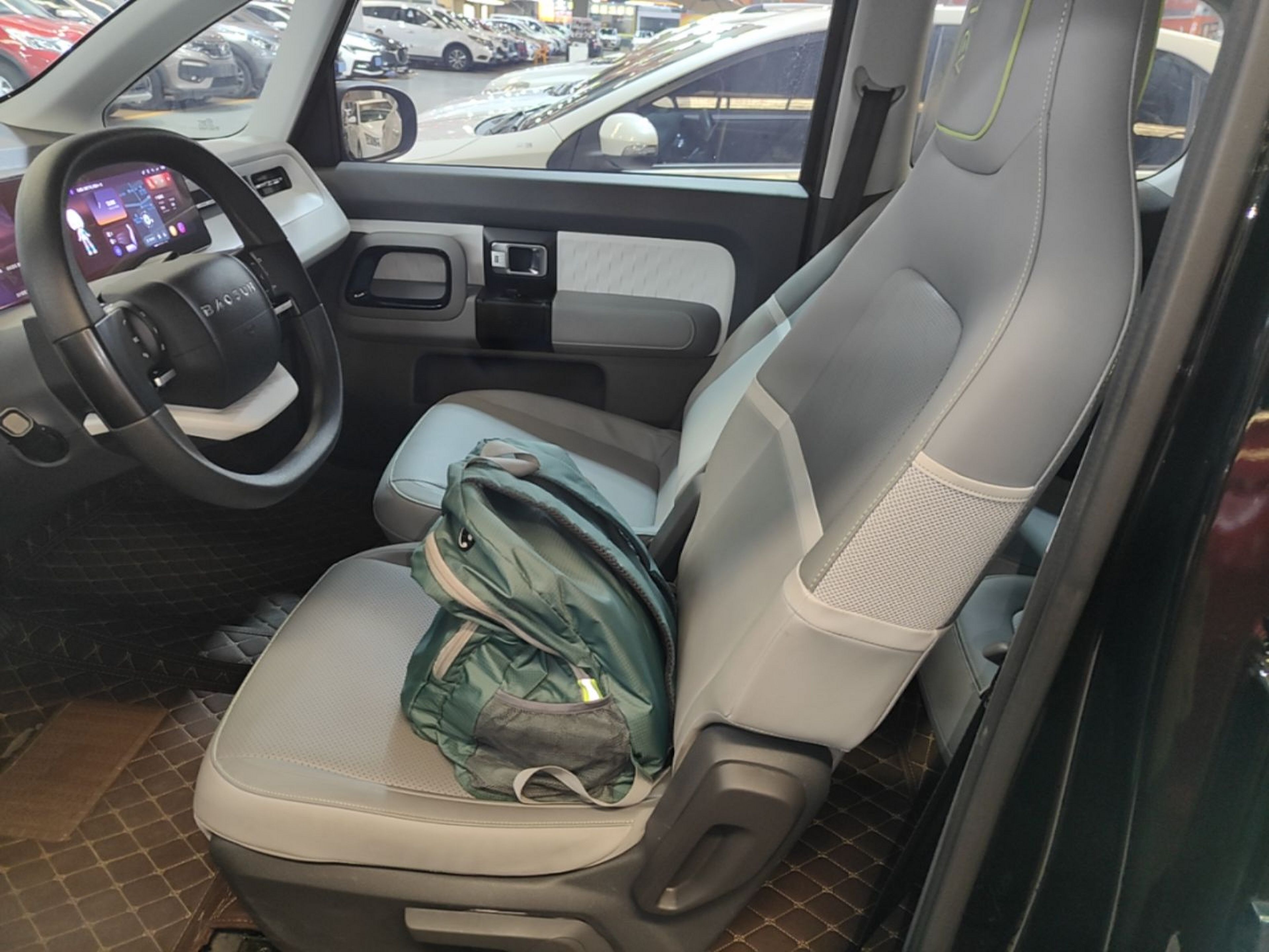 Interior delantero