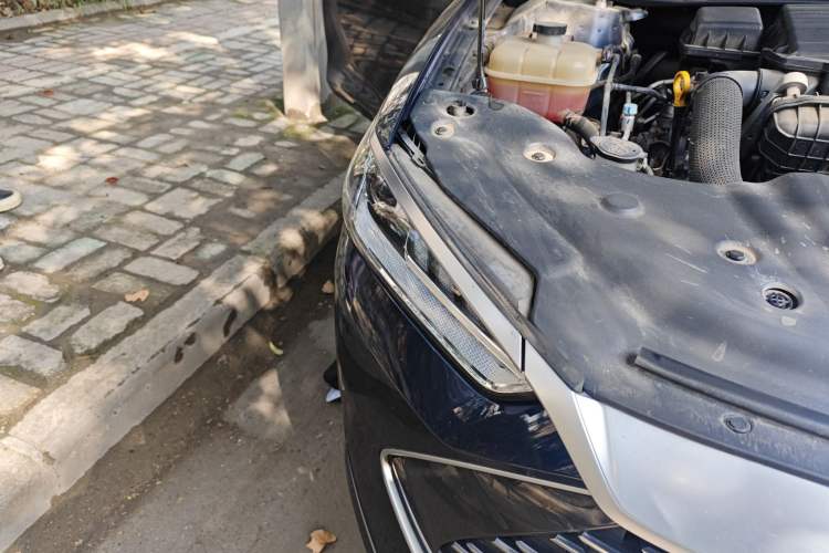 Used BYD Qin PLUS 2023 Champion Edition DM-i 55KM Leading Model