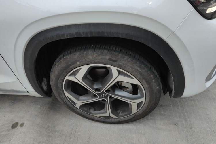 Used Geely Auto Monjaro L 2024 2.0TD DCT EVO Two-Wheel Drive Long-Range Version