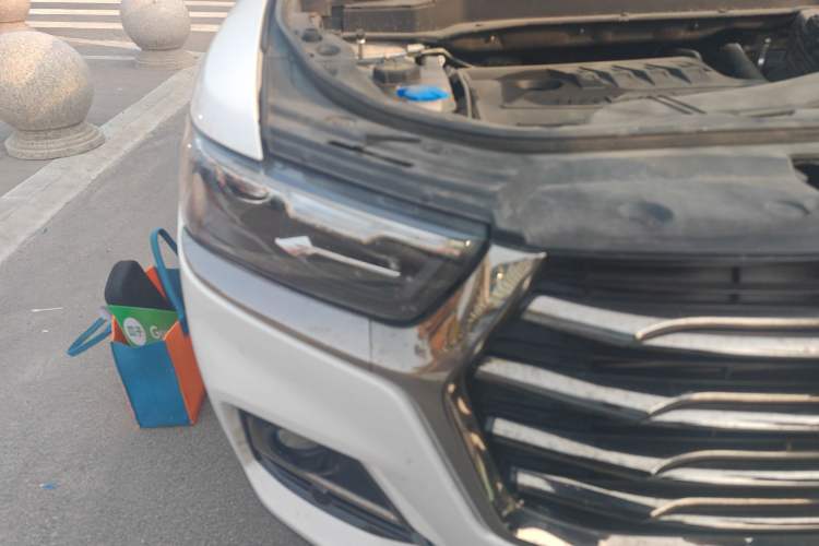 Used Haval H6 2021 National Trend Edition 1.5T Automatic Champion Version